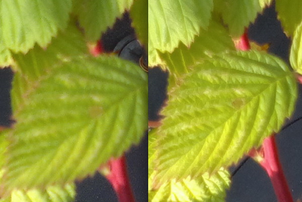 , , , , , , , , ,
