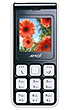 Amoi A310 ( ������ A310 )