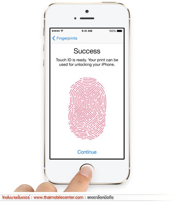 Apple iPhone 5S