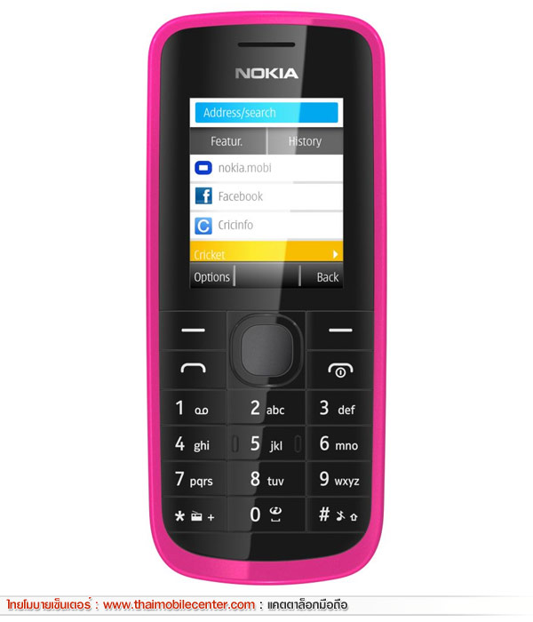 Nokia 113