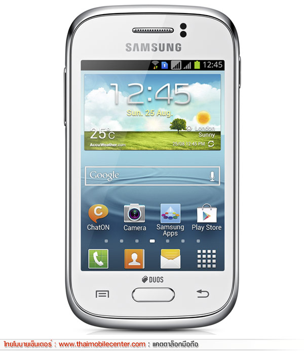 Samsung Galaxy Young DS