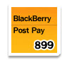 BlackBerry Ẻ�����͹ 899