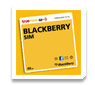 BlackBerry SIM