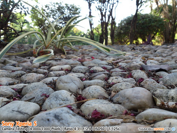 , , , , , , , , , , , , , , , , , , ,