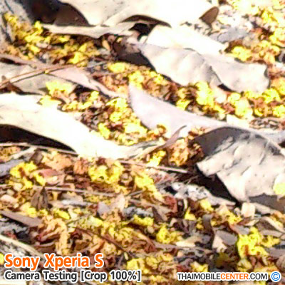 , , , , , , , , , , , , , , , , , , ,