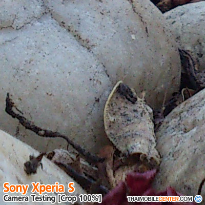 , , , , , , , , , , , , , , , , , , ,