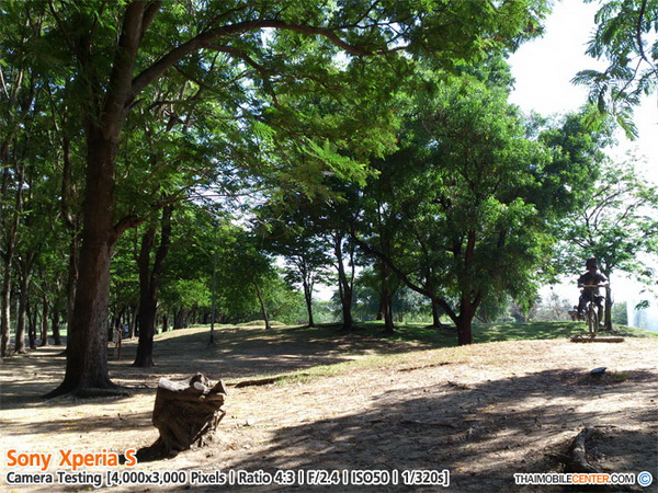 , , , , , , , , , , , , , , , , , , ,