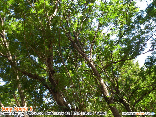 , , , , , , , , , , , , , , , , , , ,