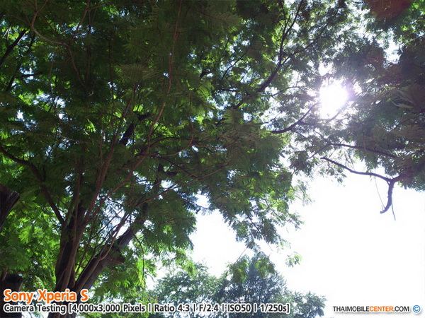 , , , , , , , , , , , , , , , , , , ,