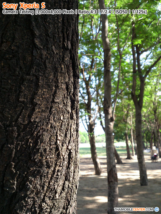 , , , , , , , , , , , , , , , , , , ,