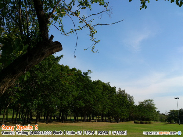 , , , , , , , , , , , , , , , , , , ,