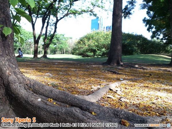 , , , , , , , , , , , , , , , , , , ,