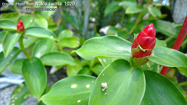, , , , , , , , , , , , , , , , , , , , , , , , , , , , , 