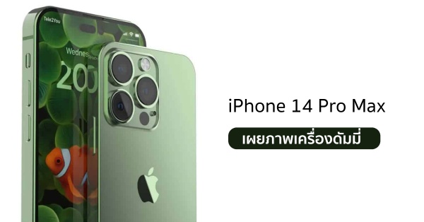 iPhone 14 Pro Max เผยภาพเครื่องดัมมี่ เผยมาพร้อมจอเจาะรูแบบแคปซูลดีไซน์