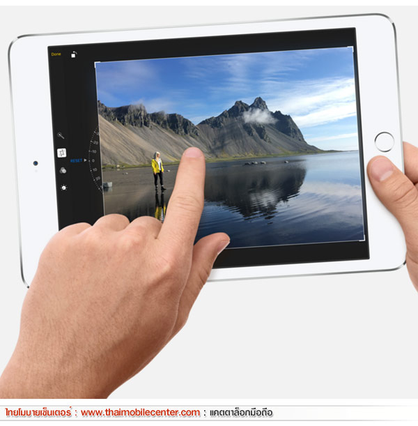 iPad mini 4 Wi-Fi + Cellular