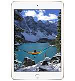  iPad mini 4 Wi-Fi + Cellular ( ͻ iPad mini 4 Wi-Fi + Cellular )