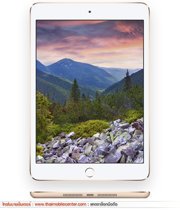 iPad mini 3 Wi-Fi + Cellular