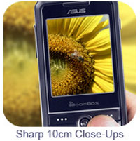 Asus V80
