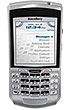BlackBerry 7100g (  7100g )