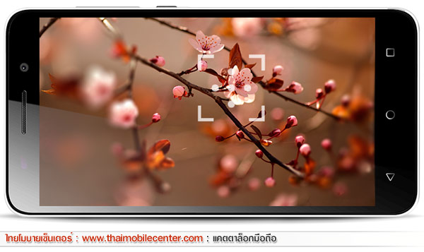 Huawei Honor 4X (ALek 4G Plus)