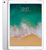 iPad Pro 12.9 Wi-Fi + Cellular 256GB(ͻ iPad Pro 12.9 Wi-Fi + Cellular 256GB)