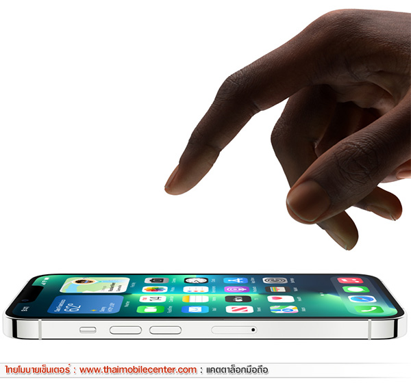 iPhone 13 Pro Max 128GB
