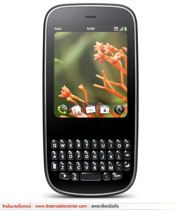 Palm Pixi