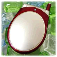 Samsung E410