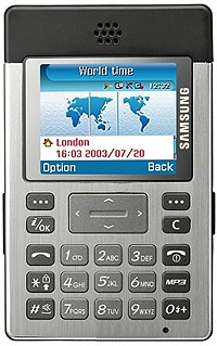 Samsung P300