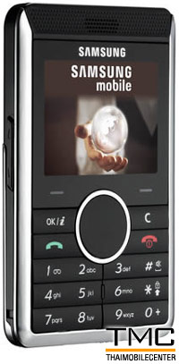 Samsung P310