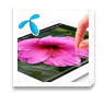 The New iPad