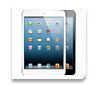 iPad mini  [TrueMove H]